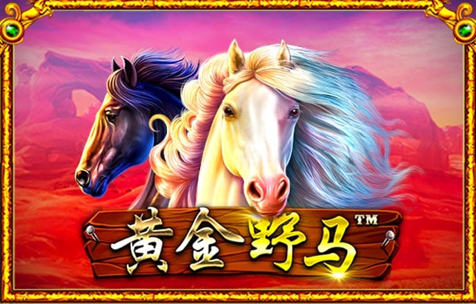 6151彩票网是正规的吗安全吗